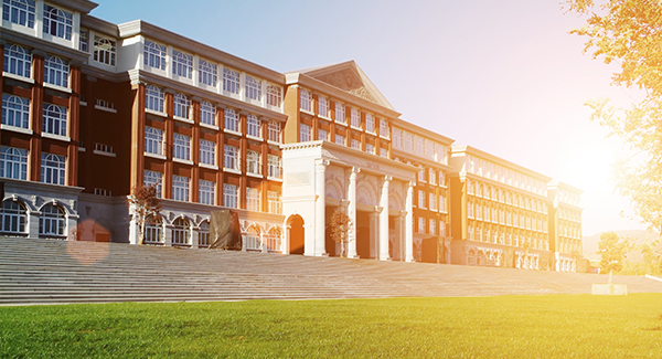 School / Universities